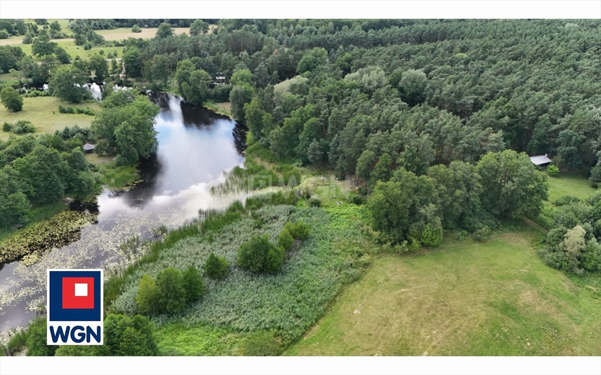 Zdjęcie 2