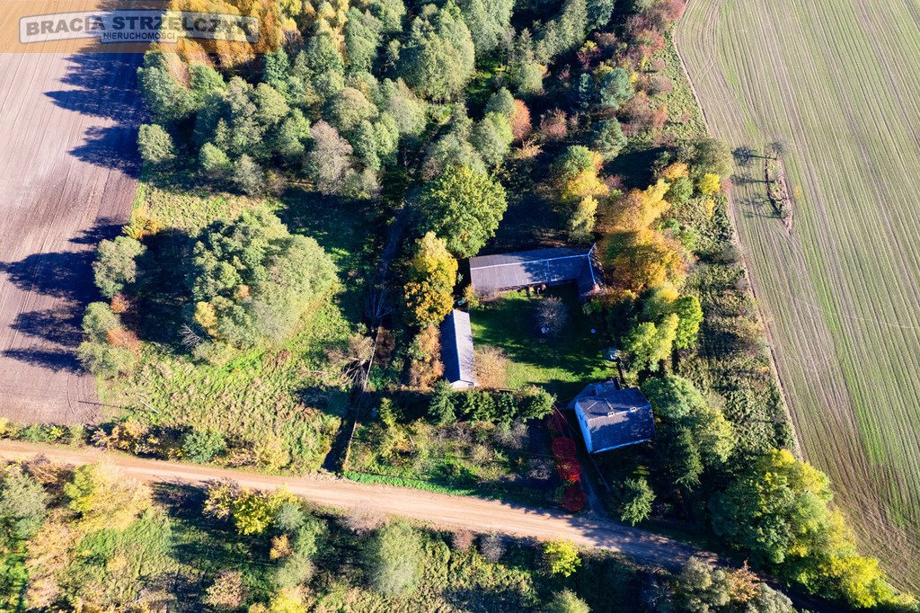 Działka budowlana na sprzedaż Gutarzewo  45 500m2 Foto 9