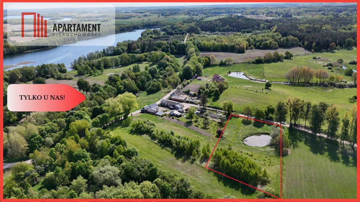 Zapraszam do obejrzenia działki z własnym stawem i dostępem do jeziora Rzepowo  5 000m2 Foto 1