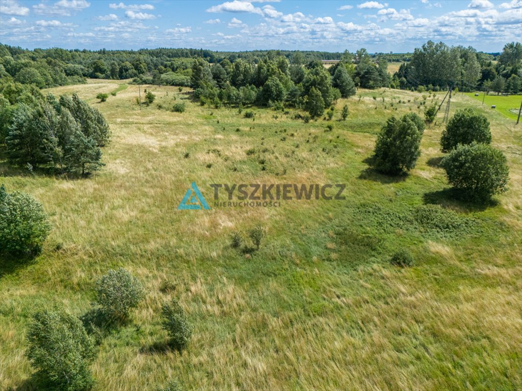 Zdjęcie 6