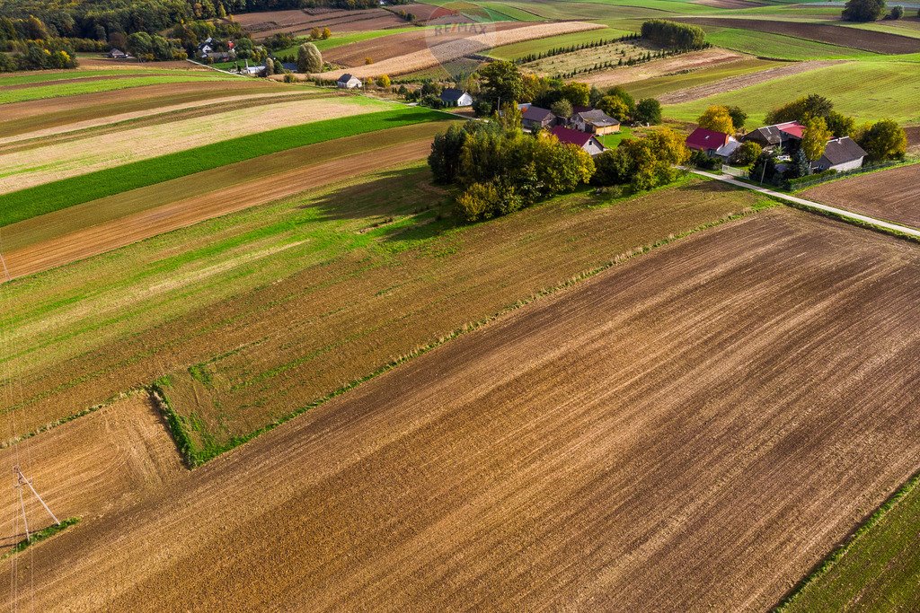 Działka budowlana na sprzedaż Krępa  2 600m2 Foto 14