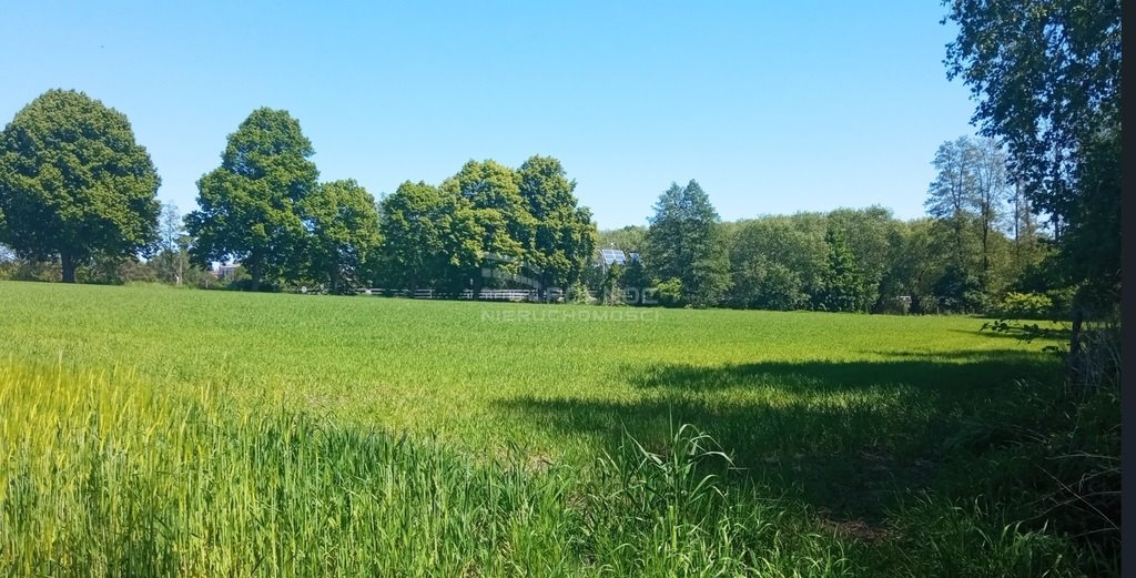 Działka inwestycyjna na sprzedaż Jastków  13 000m2 Foto 7