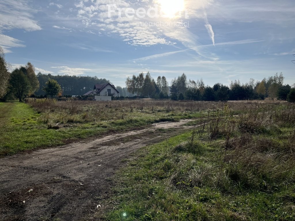 Działka budowlana na sprzedaż Zamek Bierzgłowski, Sosnowa  2 000m2 Foto 1