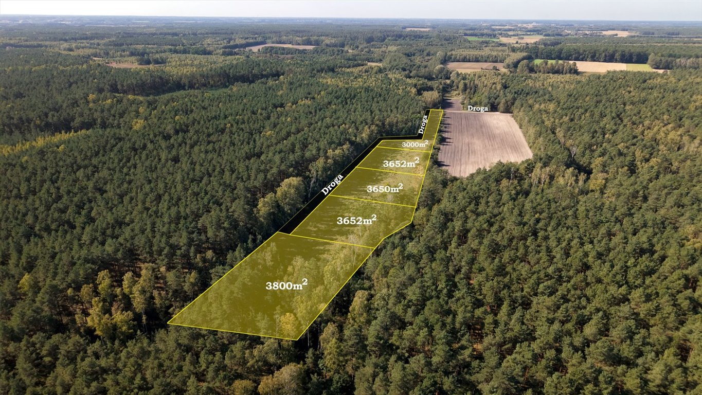 Urokliwe działki rolne w Przepitkach, 3,65 ha, cisza i natura Przepitki  3 650m2 Foto 1