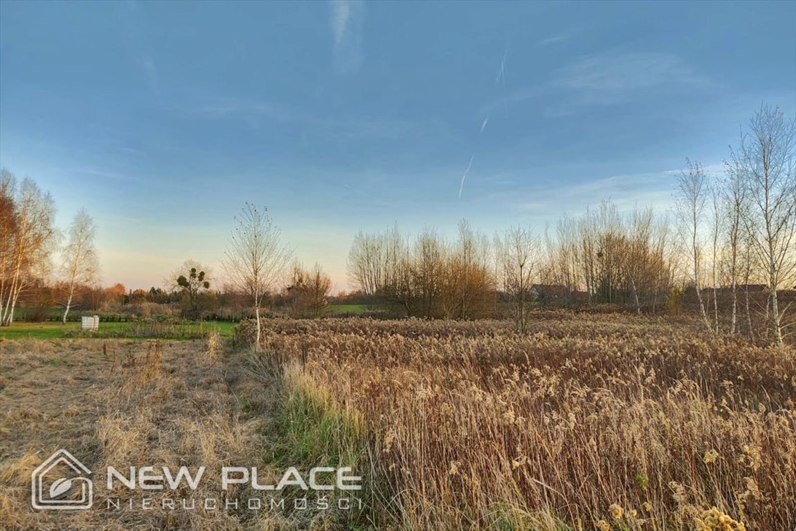 Działka budowlana na sprzedaż Wilkszyn, Wesoła  1 100m2 Foto 6