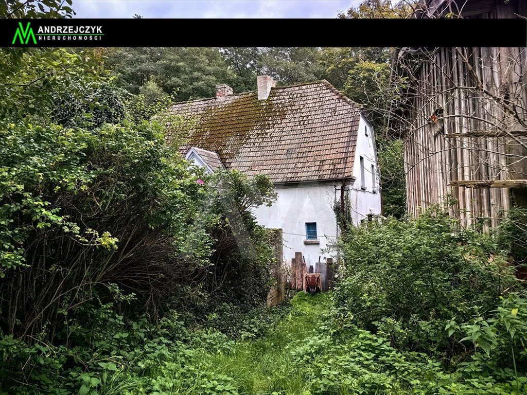 Na sprzedaż gospodarstwo 12,2 ha z domem i stodołą w Bychowie Bychowo, Bychowo  122 200m2 Foto 1