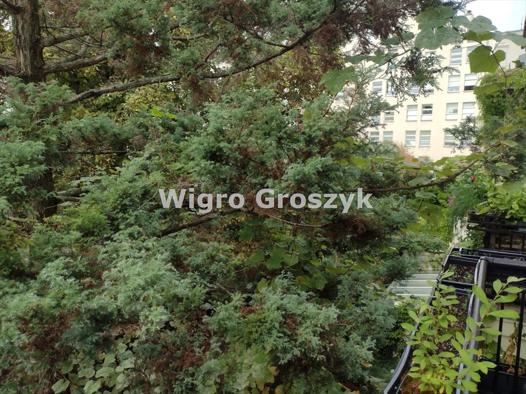 Mieszkanie na wynajem Warszawa, Śródmieście, Śródmieście, Lekarska  160m2 Foto 20