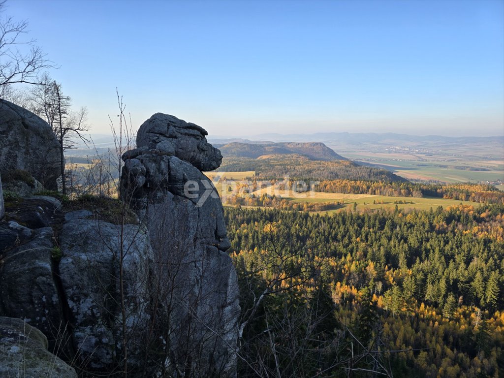 Mieszkanie dwupokojowe na sprzedaż Kudowa-Zdrój, Pogodna  39m2 Foto 12