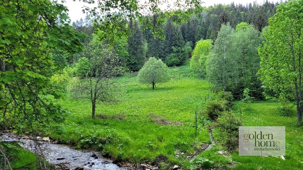 Działka inwestycyjna na sprzedaż Kletno, Śnieżnik Jaskinia Niedźwiedzia  19 400m2 Foto 8