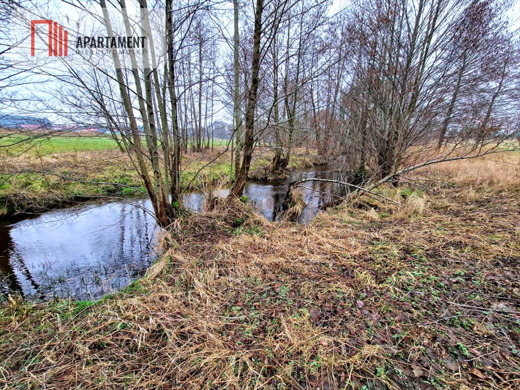 Działka budowlana na sprzedaż Śliwiczki  3 100m2 Foto 6