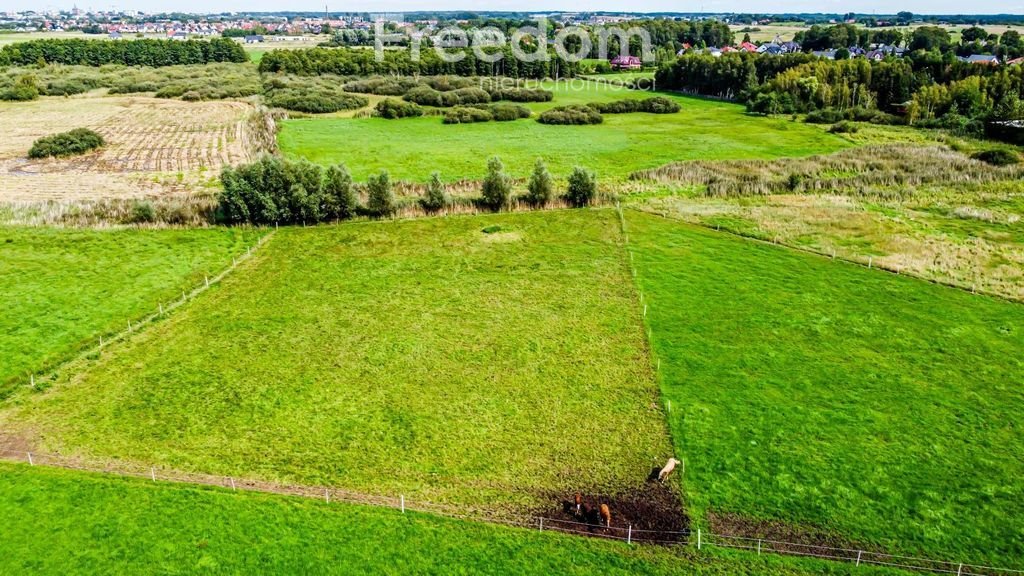 Działka rolna na sprzedaż Korzystno, Migdałowa  34 400m2 Foto 5