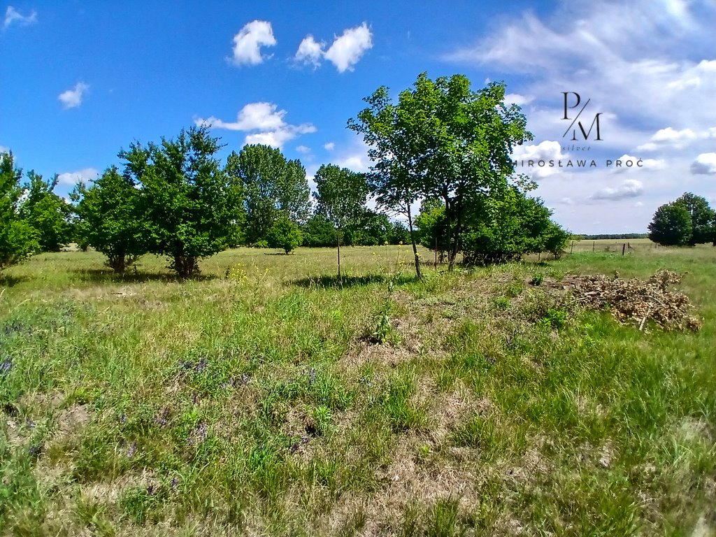 Działka inna na sprzedaż Krzelów  28 300m2 Foto 5