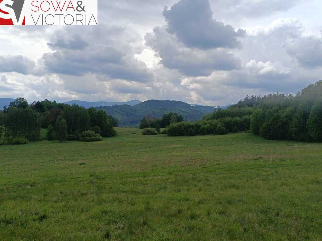 Działka inna na sprzedaż Głębock  79 700m2 Foto 6