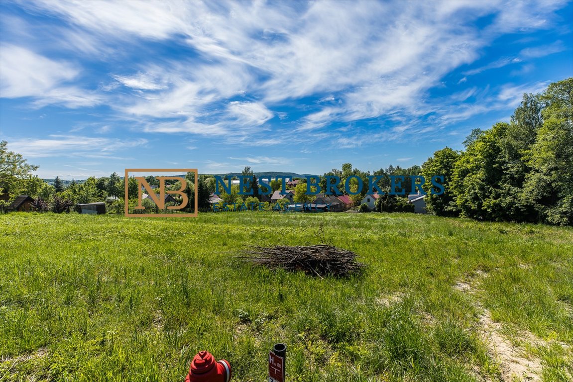 Działka siedliskowa na sprzedaż Brzezie  8 000m2 Foto 9