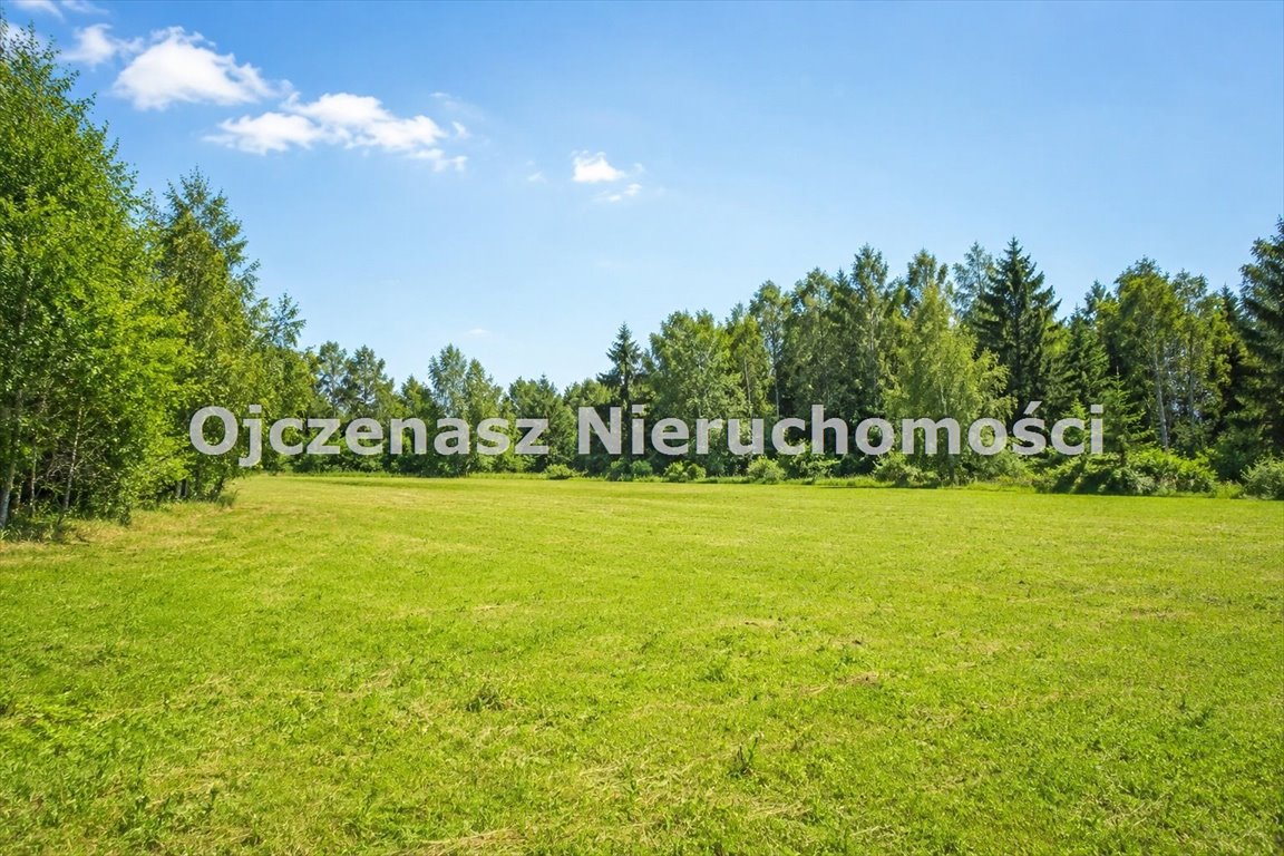 Zdjęcie 2