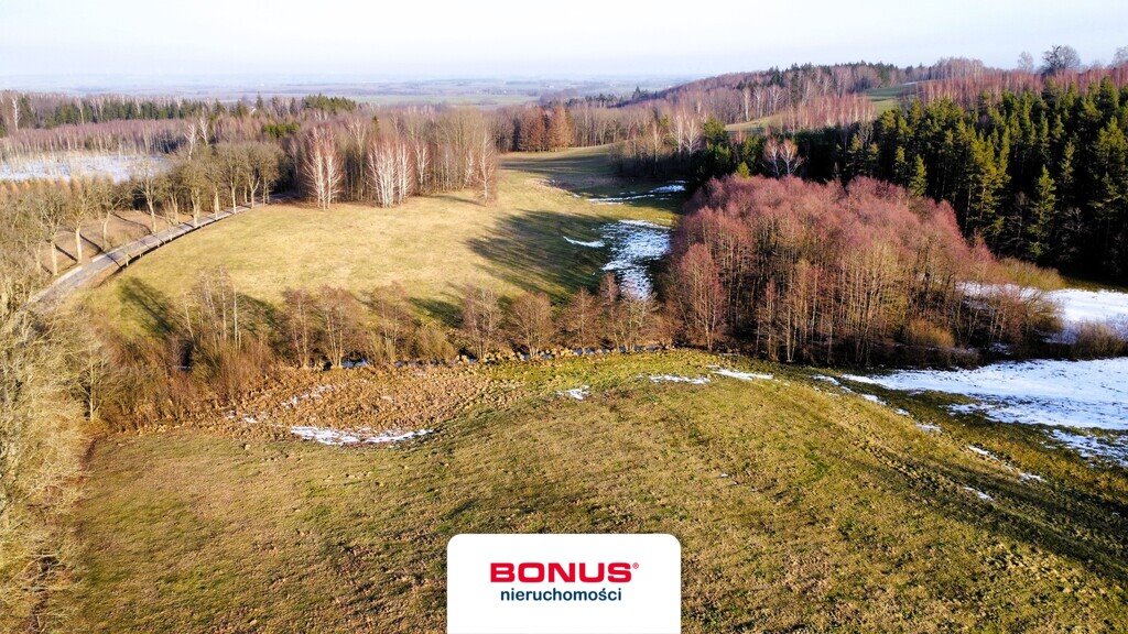 Do sprzedania działka rolna z potencjałem, pagórki i drzewa Wójtowo  82 000m2 Foto 1