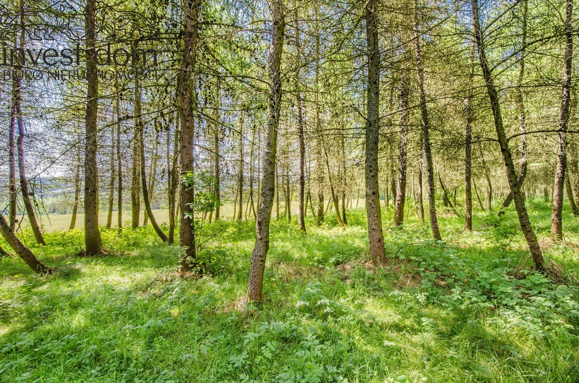 Działka leśna na sprzedaż Brunary  30 301m2 Foto 5