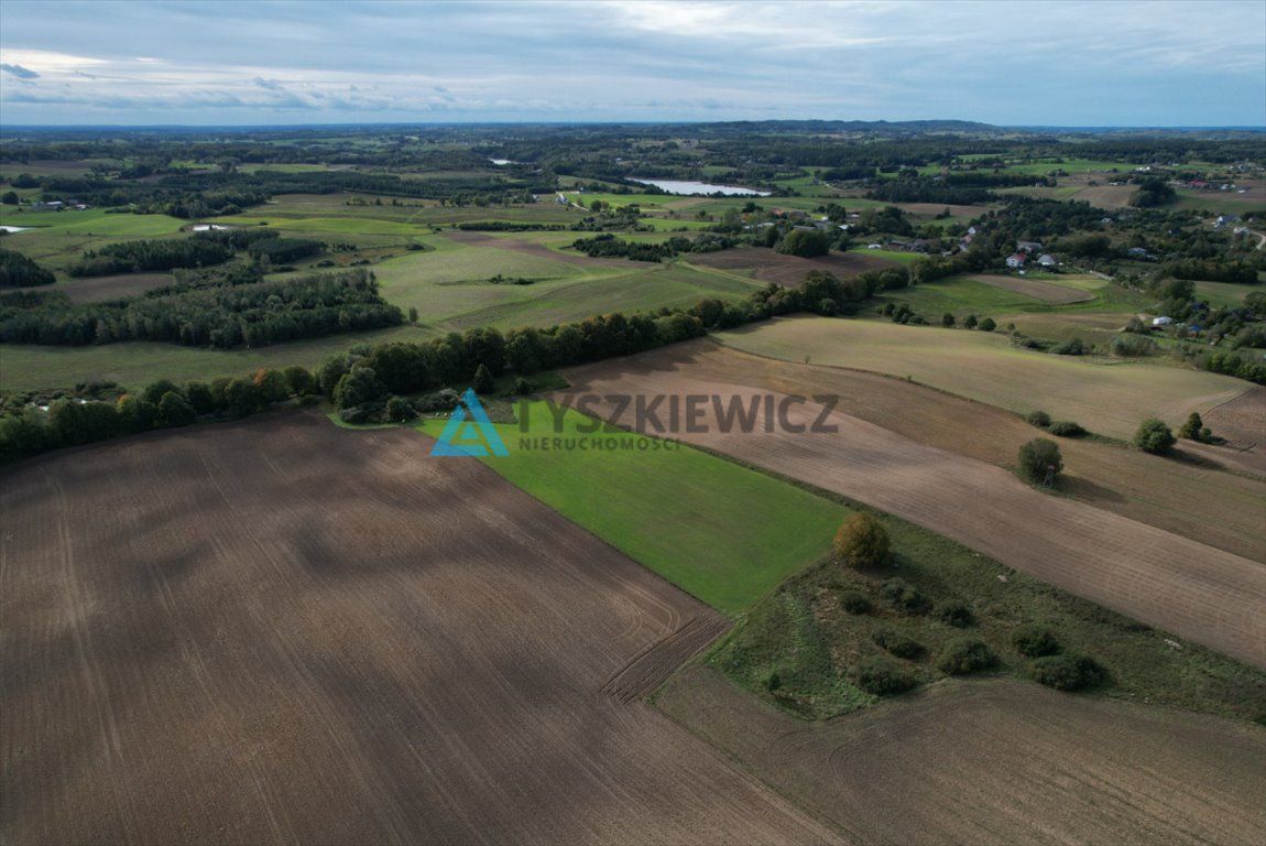 Działka rolna na sprzedaż Roztoka, Lipowa  21 125m2 Foto 11
