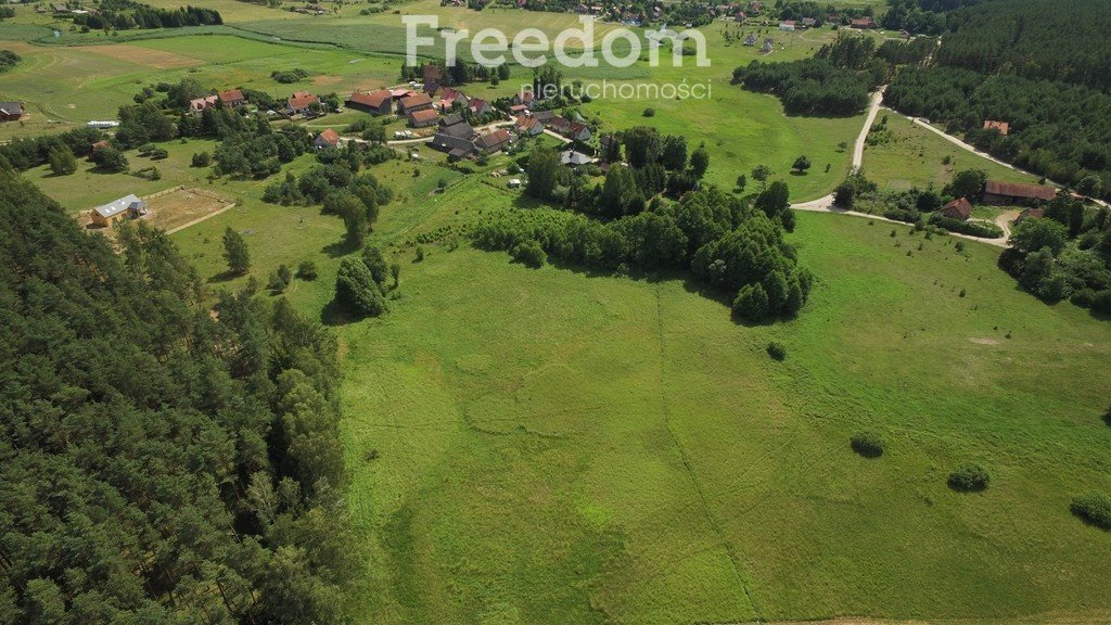 Działka budowlana na sprzedaż Ząbie  8 300m2 Foto 15