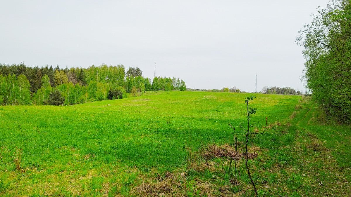 Działka inna na sprzedaż Danowo, Danowo  1 700m2 Foto 11