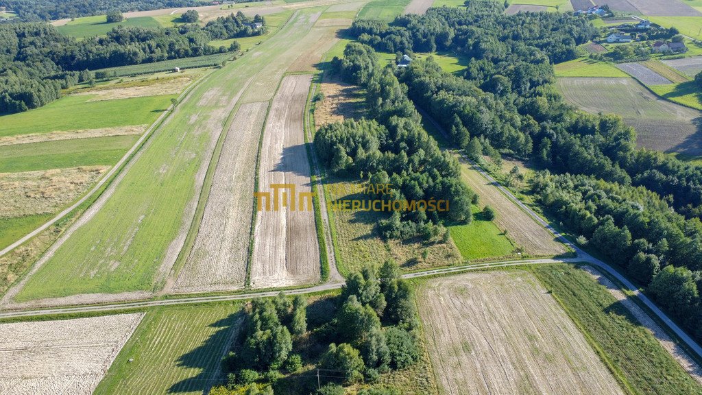 Działka budowlana na sprzedaż Białka  16 500m2 Foto 13