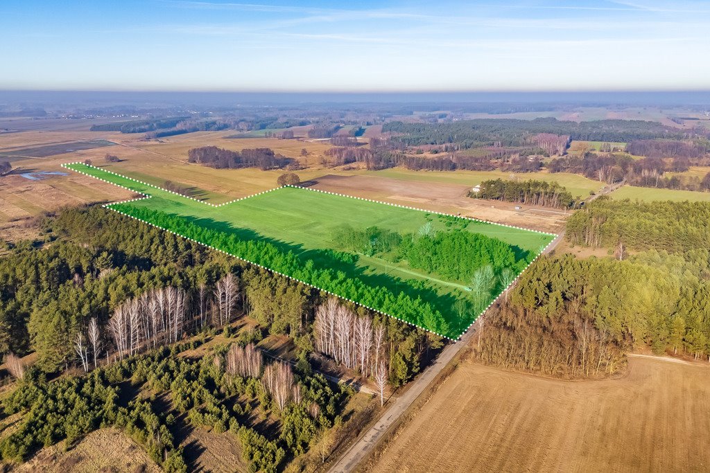 Działka siedliskowa na sprzedaż Borki  101 600m2 Foto 2