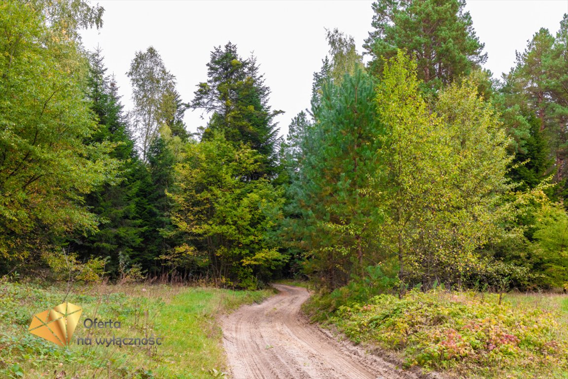 Działka budowlana na sprzedaż Józefów  53 830m2 Foto 9