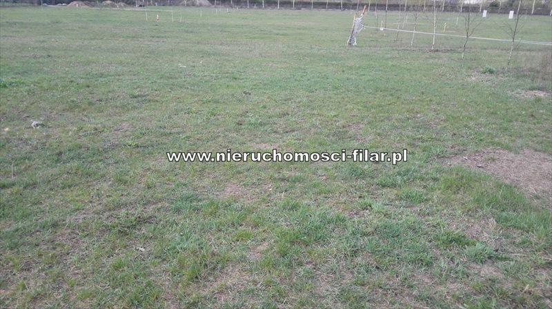 Działka inna na sprzedaż Żołędowo 1 165m2 Foto 1 Działka inna na sprzedaż Żołędowo 1 165m2 Foto 1