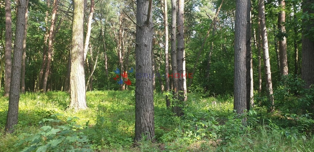 Działka 2400 m² pod zabudowę w Magdalence z starodrzewem Magdalenka  2 400m2 Foto 1
