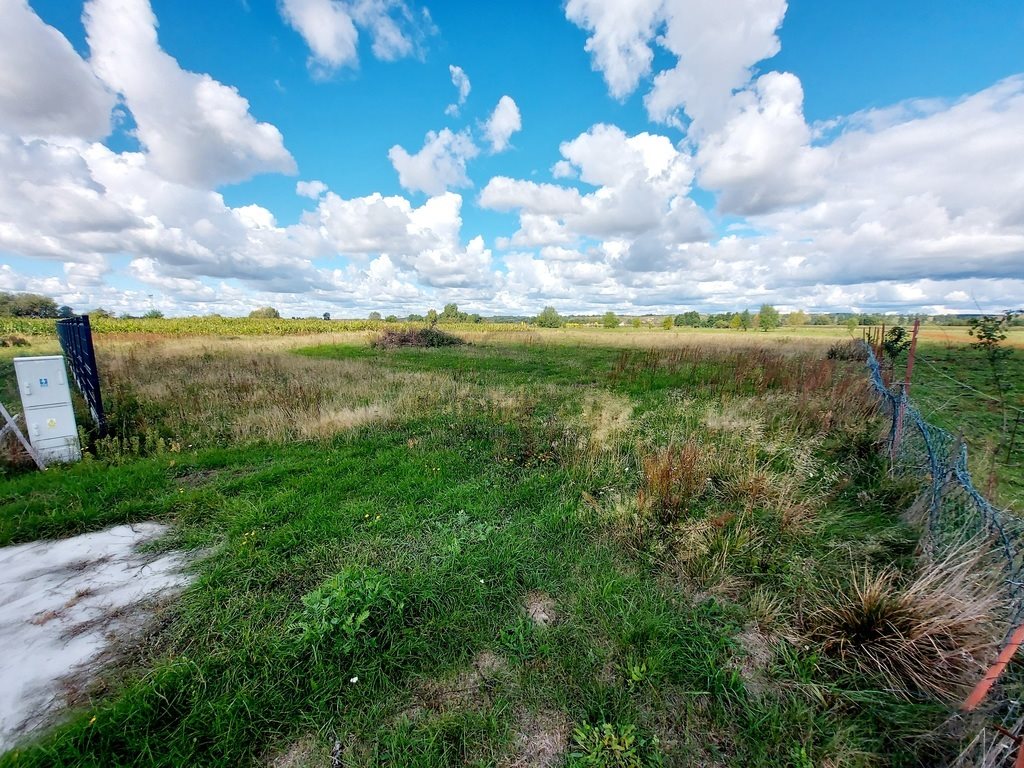 Działka inna na sprzedaż Ciecierzyce  1 700m2 Foto 6