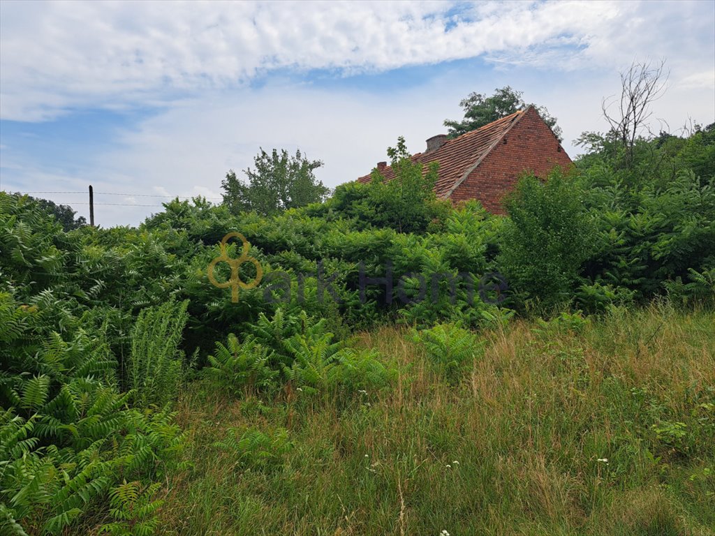 Działka budowlana na sprzedaż Żegrowo  1 460m2 Foto 2