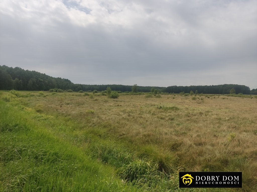 Działka rolna na sprzedaż Istok  18 000m2 Foto 2