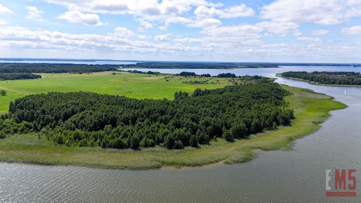 Działka budowlana na sprzedaż Ogonki  3 500m2 Foto 2