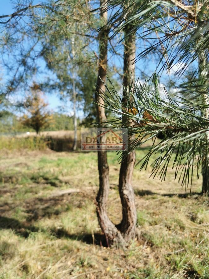 Działka budowlana na sprzedaż Stefanówka  1 100m2 Foto 1