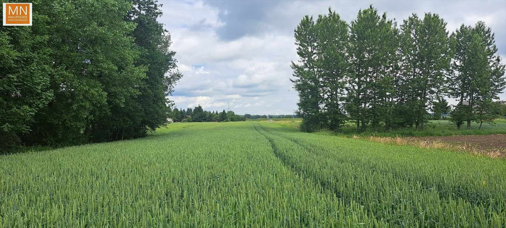 Działka budowlana na sprzedaż Ispina  8 500m2 Foto 9