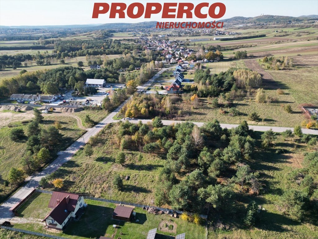 Działka inna na sprzedaż Chęciny, Lipowica  7 480m2 Foto 4