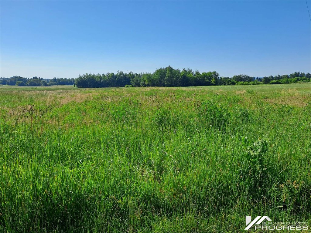 Działka 1,28 ha z warunkami zabudowy i dobrym dojazdem Dobieszyn  12 800m2 Foto 1