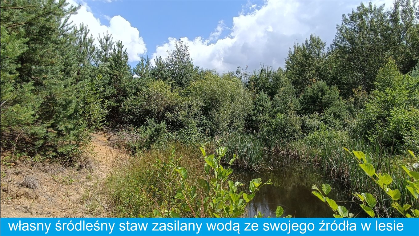 Dom na sprzedaż Dziewiątle  50m2 Foto 16