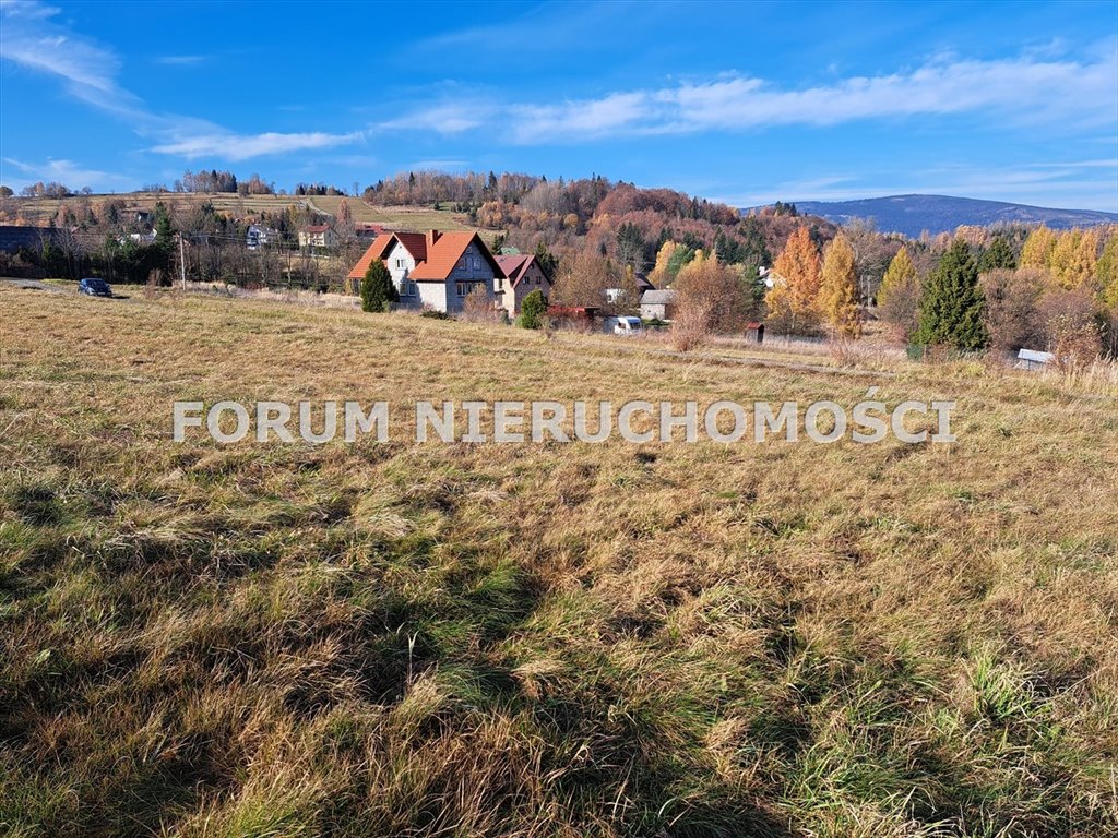 Działka budowlana na sprzedaż Laliki  1 699m2 Foto 2