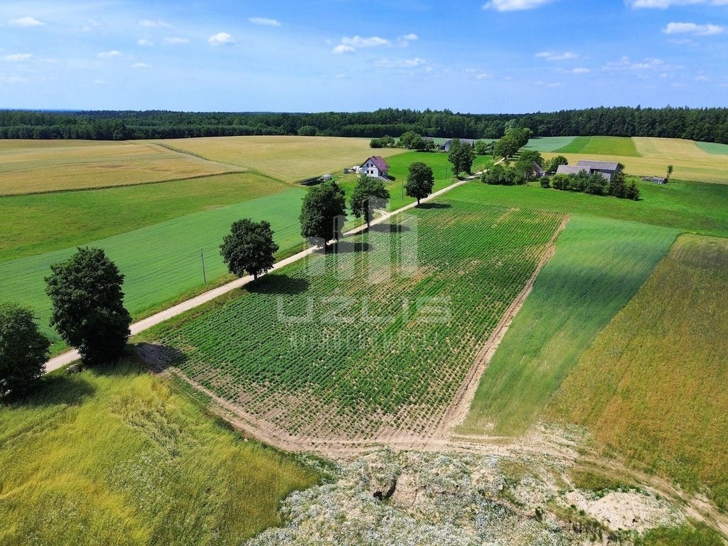 Działka budowlana na sprzedaż Pogódki  1 100m2 Foto 10