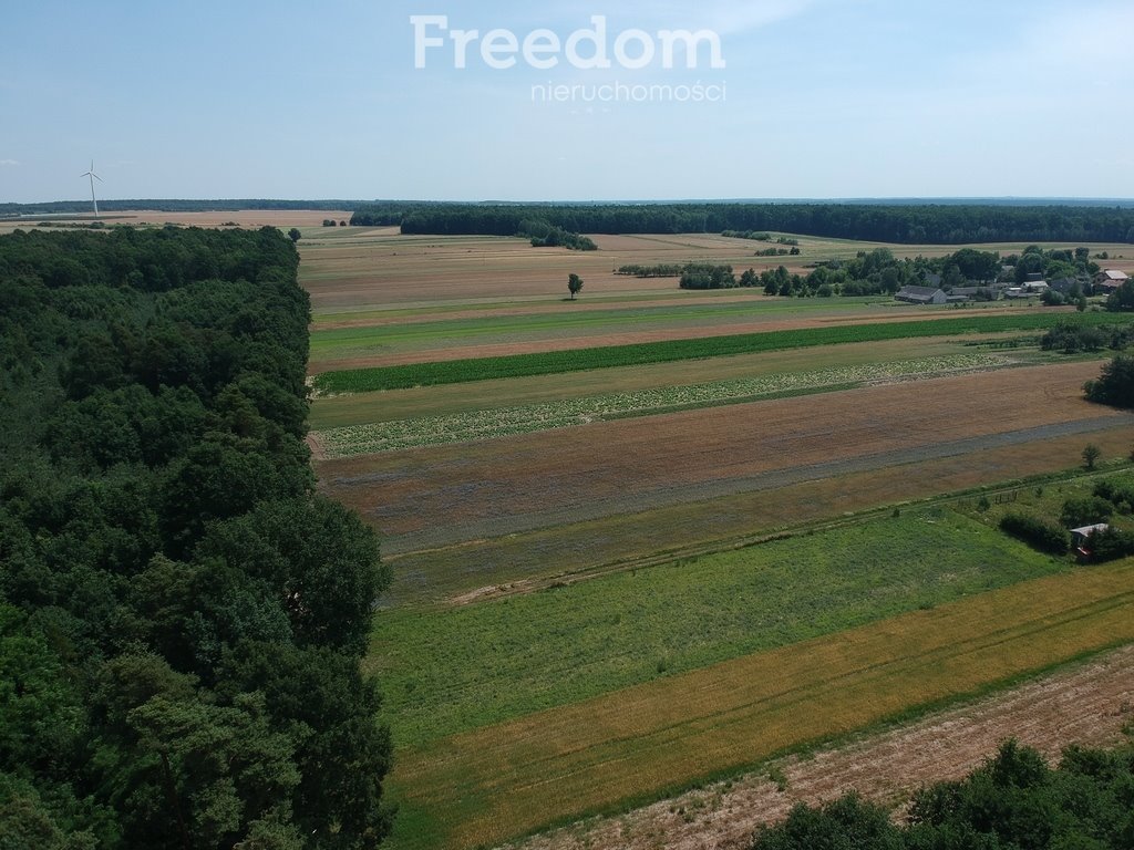 Działka rekreacyjna na sprzedaż Kaleń  1 000m2 Foto 5