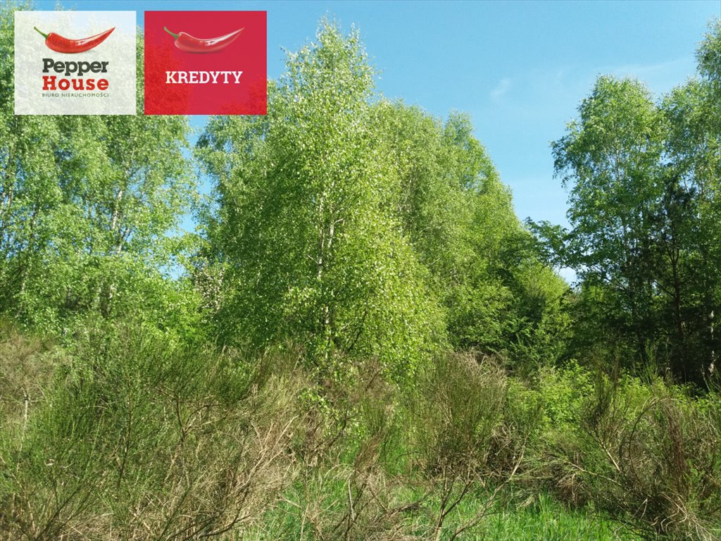 Na sprzedaż działka 1150 m² w lesie z warunkami zabudowy Łężyce, Brzozowa  1 150m2 Foto 1