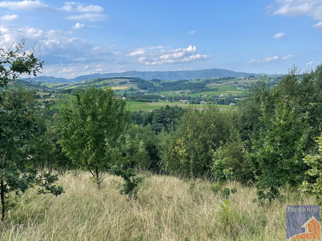 Działka rolna na sprzedaż Przyszowa  4 958m2 Foto 19