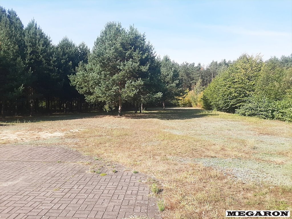 Lokal użytkowy na sprzedaż Załęcze Małe, Bukowce  7 400m2 Foto 19