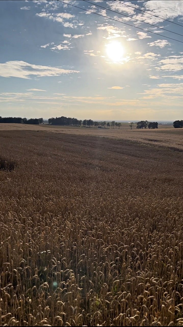 Działka budowlana na sprzedaż Pietrzwałd  1 150m2 Foto 4