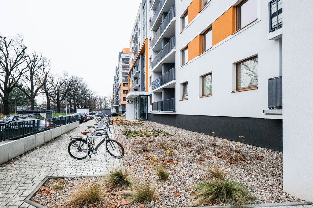 Mieszkanie trzypokojowe na wynajem Wrocław, Śródmieście, Łowiecka  57m2 Foto 11