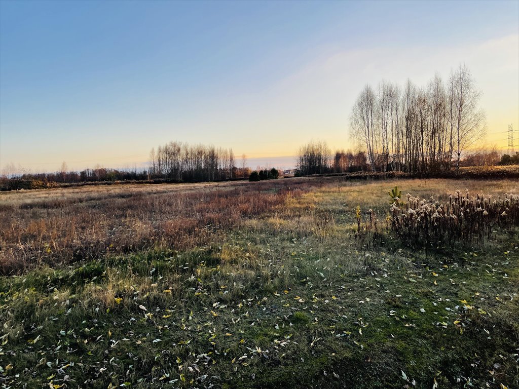 Działka inwestycyjna na sprzedaż Stare Grabie, Szosa Jadowska  11 400m2 Foto 2