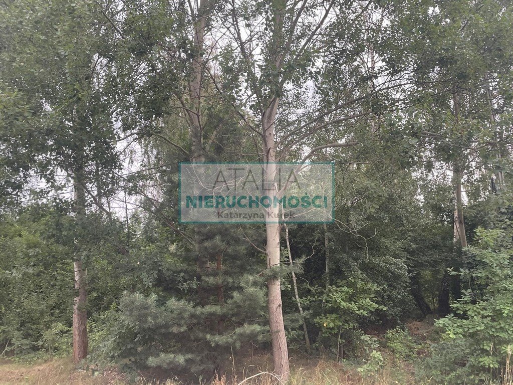 Działka 1743 m² z mediami i dobrym dojazdem - Zalesie Zalesie  1 743m2 Foto 1