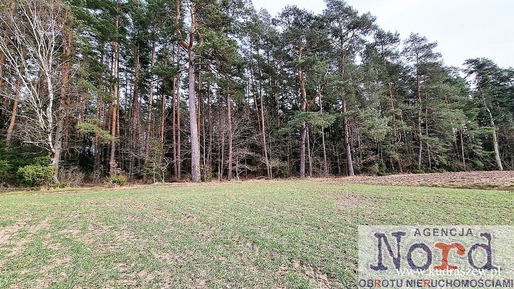 Działka budowlana na sprzedaż Gabowe Grądy  3 001m2 Foto 1