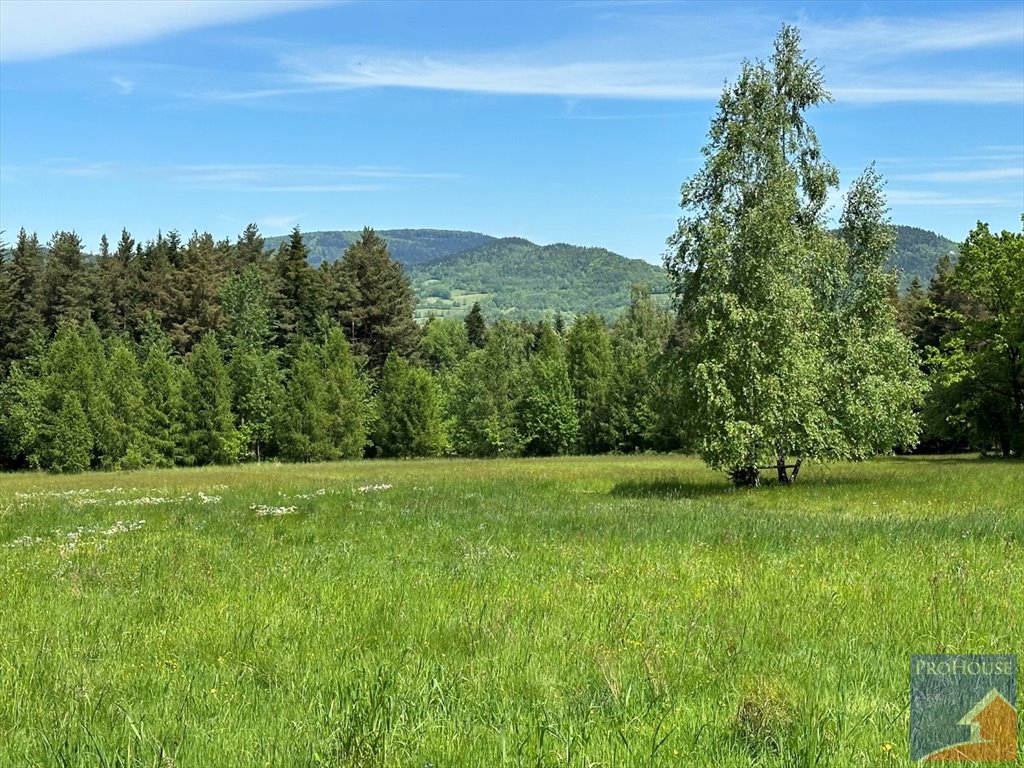 Działka 5200 m² w Podłopieniu z lasem i łąką Podłopień  5 200m2 Foto 1